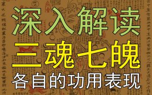 魂魄主导着人的哪些生命活动？中医视角深入解读“三魂七魄”【国学堂梁冬对话徐文兵】-齐物书舍
